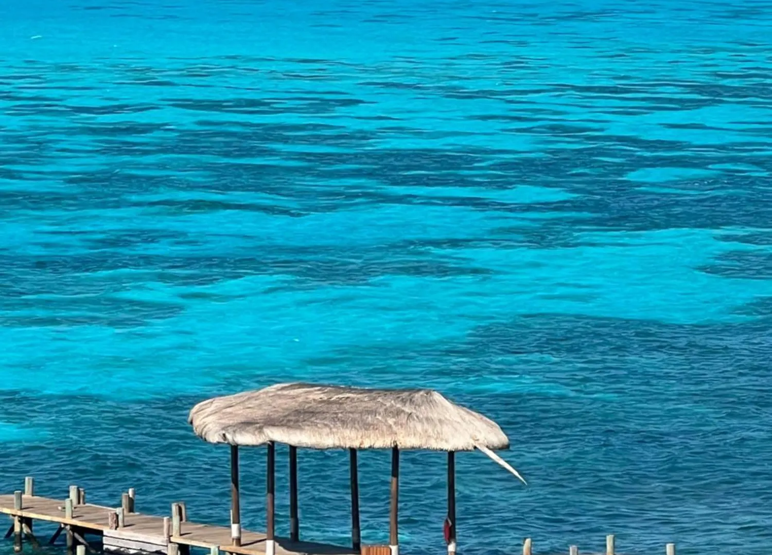 Cancun Departamento Frente Al Mar Amara